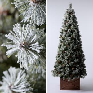 【公式 Alsace(R) 正規品】クリスマス...の詳細画像1