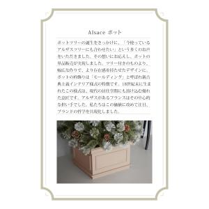 【公式 Alsace(R) 正規品】 ポット ...の詳細画像1