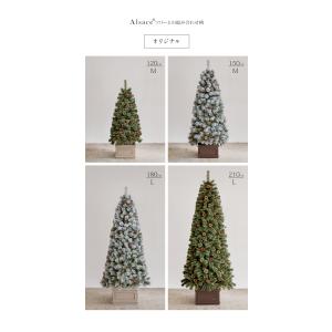 【公式 Alsace(R) 正規品】 ポット ...の詳細画像2