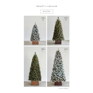 【公式 Alsace(R) 正規品】 ボックス...の詳細画像2