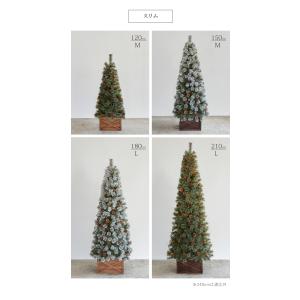 【公式 Alsace(R) 正規品】 ボックス...の詳細画像3