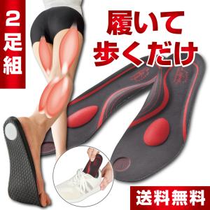 IRERUDAKE インソール 中敷き 扁平足 姿勢 RiCAM イレルダケ 外反母趾