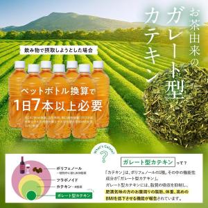 【公式】 カテキン減脂粒 DMJえがお生活 カ...の詳細画像2