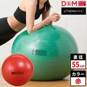 テクノジム アクティブシッティング バランスボールチェア 55cm