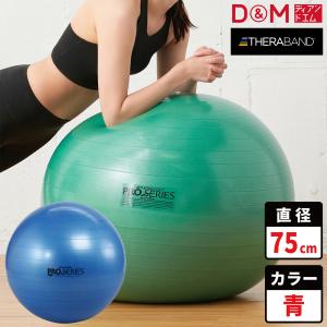 テクノジム アクティブシッティング バランスボールチェア 55cm