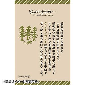 【防災】IBIC FOODS(アイビック食品) どんなときもカレー グリーンカレー 180g レトルト パウチ 美味しい アウトドア キャンプ｜dn-eshop