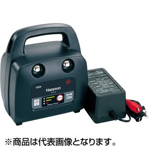 ハピソン(Hapyson) 中・小型電動リール用充電式 12Ahバッテリーパック YQ-118