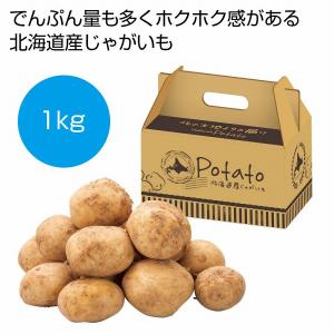 じゃがいも様ご確認用 Impera Cl