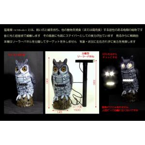 タイガー（TIGER） 鳥害対策器 天敵ニラミ トリサッタ TTN-T5 (有効