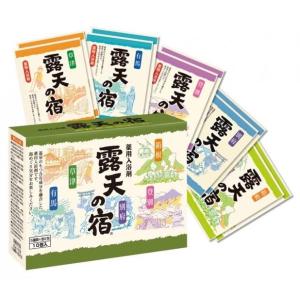 エステ気分 アロマ入浴剤 ドバイ 40g ×10個セット (配送おまかせ