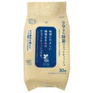 地球おもい ウェットティッシュ30枚 アルコール...の商品画像