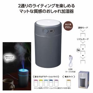 Dyson ダイソン Pure Cool TP00 IB 空気清浄機 タワーファン