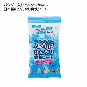 氷冷ひんやり爽快シート18枚入 無香 /クールダ...の商品画像