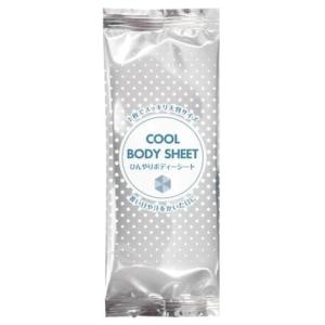 クールボディシート /熱中症対策/暑さ対策/ひん...の商品画像
