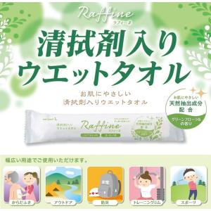 ラフィーネ L(清拭剤入りウェットタオル) /衛...の商品画像