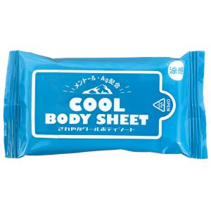 クール ボディウェットティッシュ10枚　/衛生/清掃/掃除/ティッシュ/景品/粗品/ノベルティ/販促品/プレゼント　★800個以上で送料無料