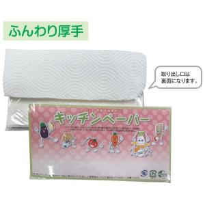 キッチンペーパータオル10P /衛生/キッチン消...の商品画像