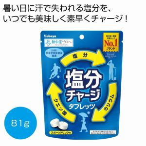 塩分チャージタブレッツ スポーツドリンク味81g...の商品画像