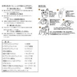 自然彩色 白髪染め ナチュラルブラウン /コス...の詳細画像1