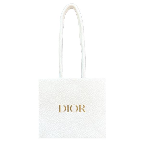 送料無料定形外郵便 ディオール DIOR セルフラッピング ブランド袋　S 1枚