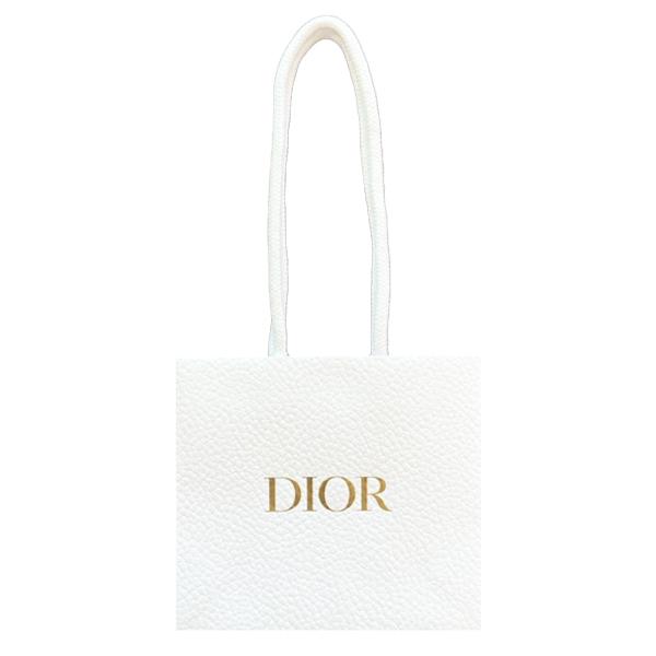 送料無料定形外郵便 ディオール セルフラッピング ブランド袋 S 1枚 DIOR