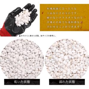 庭園敷砂利 白玉10mm 10kg×3袋【一部...の詳細画像1