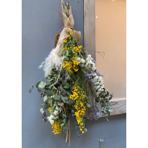 ミモザ 花 ガーデニング の商品一覧 通販 Yahoo ショッピング