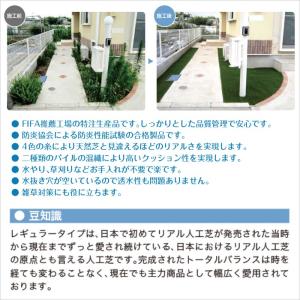 人工芝 芝丈30mm レギュラー 1m × 1...の詳細画像2