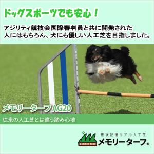 ペット用 人工芝 メモリーターフ AG20 形状記憶 リアル ロール 2m × 10m ベランダ 庭 テラス 高品質 ドッグラン YT MTAG-0210