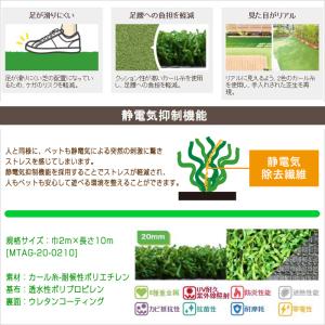 ペット用 人工芝 メモリーターフ AG20 形...の詳細画像1