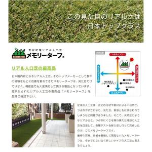 ペット用 人工芝 メモリーターフ AG20 形...の詳細画像2