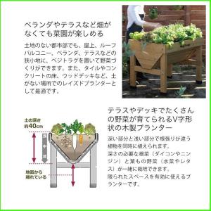 代引可最安値 草花 プランター 花壇 草花 野菜栽培 おしゃれ 家庭菜園 ベランダ 花壇 Yt 328 S Vegtrug 小型 Acq ベジトラグ 木製 教材 Yt 328 Vgt A01 ドアのそと