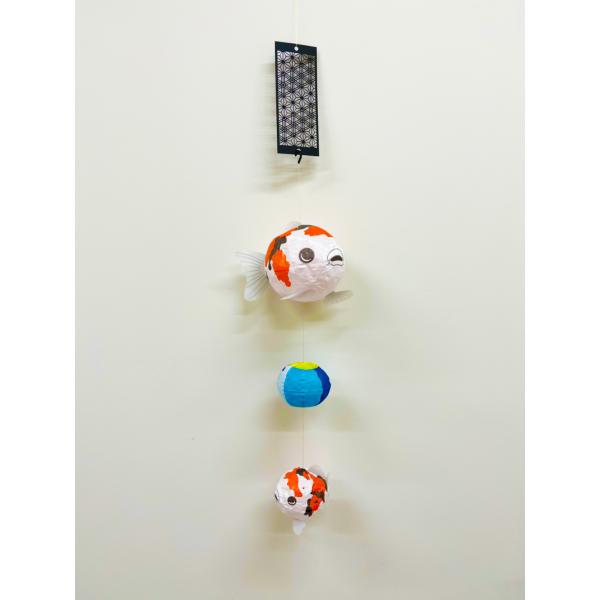 紙風船　かんかん/錦鯉