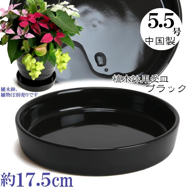 植木鉢用受皿 おしゃれ 安い 陶器 サイズ 17.5cm KN1171 5.5号 ブラック 室内 屋...