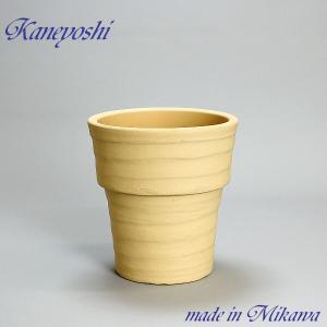 現品】チャメロプス・フミリス・ボルケーノ 7号 白プラスチック鉢（2