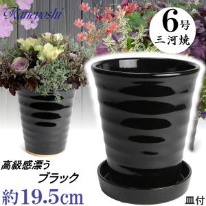 グロワーズ ツールズ ウォータリングカン 500ml(植物 水やり 水差し