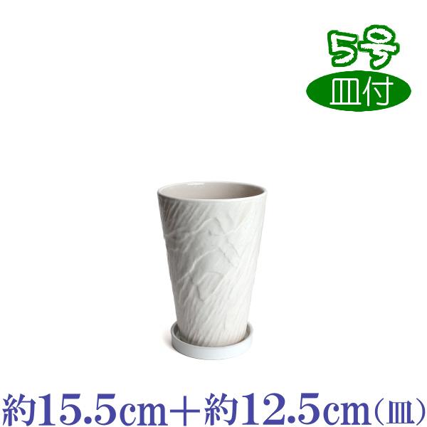 植木鉢 おしゃれ 安い 陶器 サイズ 15.5cm ログストーン 5号 白釉 受皿付 室内 屋外 ホ...