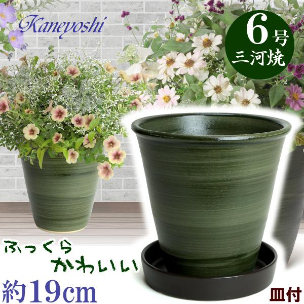 受皿付 植木鉢 おしゃれ 安い 陶器 サイズ 19cm 小春 6号 グリーン ＆ ＫＮ受皿１１７９ブ...