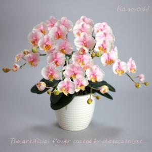 光触媒 胡蝶蘭 造花 インテリア 小輪 3本立 ミルキーピンク 桃色 お祝 ギフト 記念品 誕生日 発表会 新築 開店 花 空気清浄