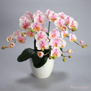 光触媒 胡蝶蘭 造花 インテリア 小輪 3本立...の詳細画像1