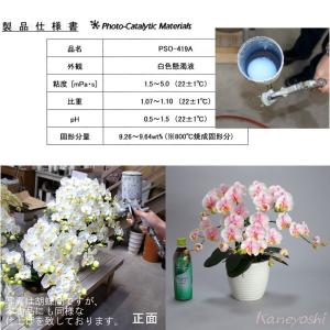 光触媒 胡蝶蘭 造花 インテリア 小輪 3本立...の詳細画像4