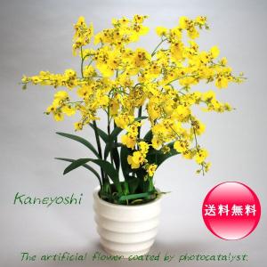 お祝い　造花　フラワーギフト　光触媒オンシジューム　　イエロー