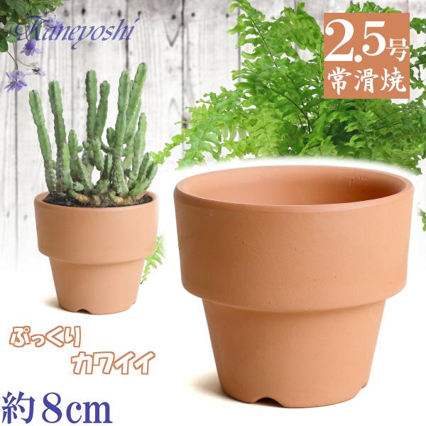 植木鉢 おしゃれ 安い 陶器 サイズ ８cm ＨＷミニライフ 2.5号 素焼 レンガ色 室内 テラコ...