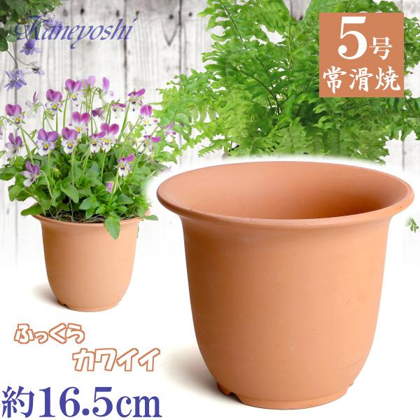 植木鉢 おしゃれ 安い 陶器 サイズ 1６cm ＨＷ尻丸鉢 ５号 素焼 レンガ色 室内 屋外 テラコ...