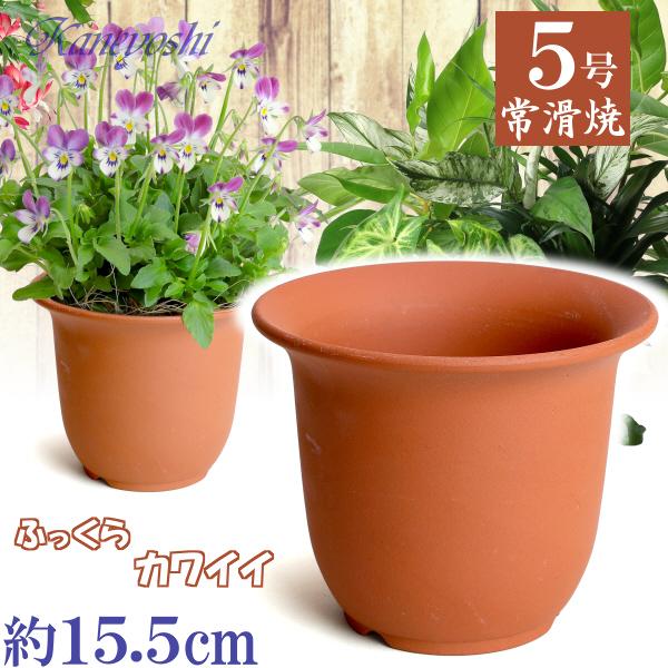 植木鉢 おしゃれ 安い 陶器 サイズ 1５cm ＨＷ尻丸鉢 ５号 赤焼 レンガ色 室内 屋外 テラコ...
