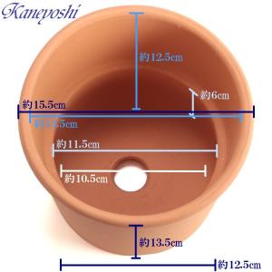 植木鉢 おしゃれ 安い 陶器 サイズ 15.5...の詳細画像3