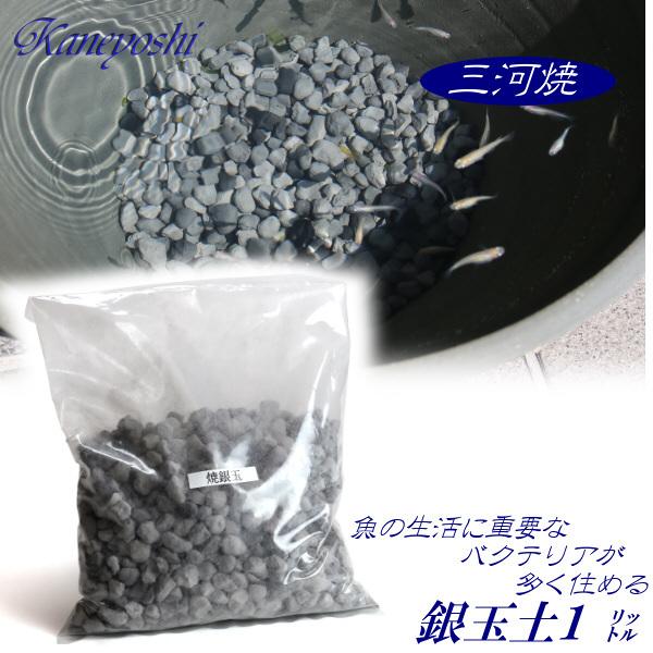 睡蓮鉢　めだか鉢　水鉢　アクセサリー　日本製（三河焼）　バクテリアが多く住める多孔質ろ材　銀玉土１リ...