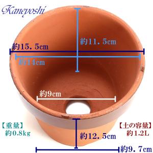 植木鉢 おしゃれ 安い 陶器 サイズ 15cm...の詳細画像3