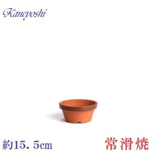 植木鉢 おしゃれ 安い 陶器 サイズ 15cm ダ温鉢 浅 5号 レンガ色 室内 屋外 テラコッタ 色 国産 日本製｜docchan