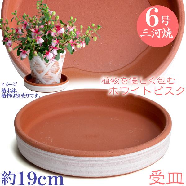 受け皿　植木鉢用　ソーサー　おしゃれ　陶器　サイズ　１９ｃｍ　安くて丈夫　受皿　６号　ホワイトビスク
